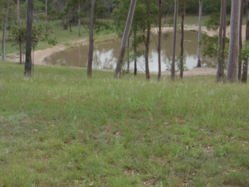 33 Beryl Cres, Curra QLD 4570