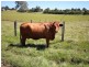 33 Power Road, Southside QLD 4570
