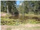 Lot 70 Green Trees Road, Pie Creek QLD 4570