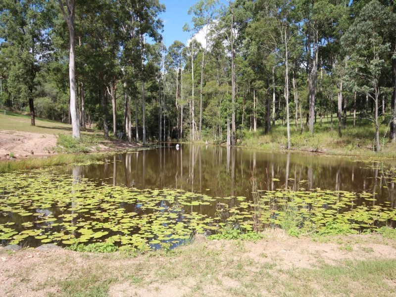 Lot 70 Green Trees Road, Pie Creek QLD 4570