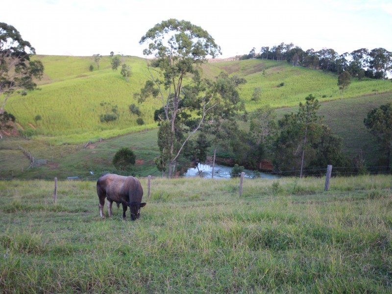 118 Kenman Road, Traveston QLD 4570