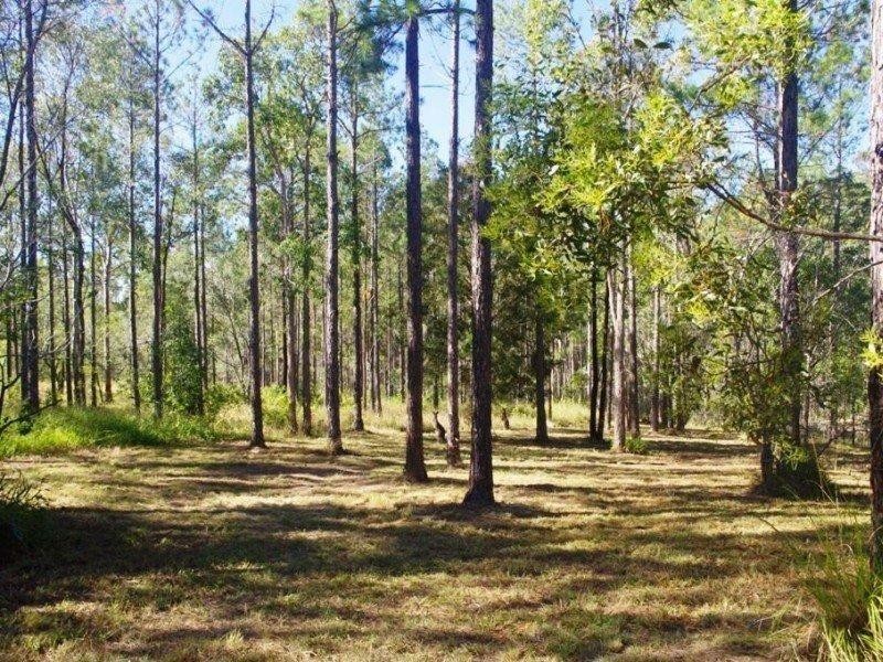 Lot 278 Arborfive Road, Glenwood QLD 4570