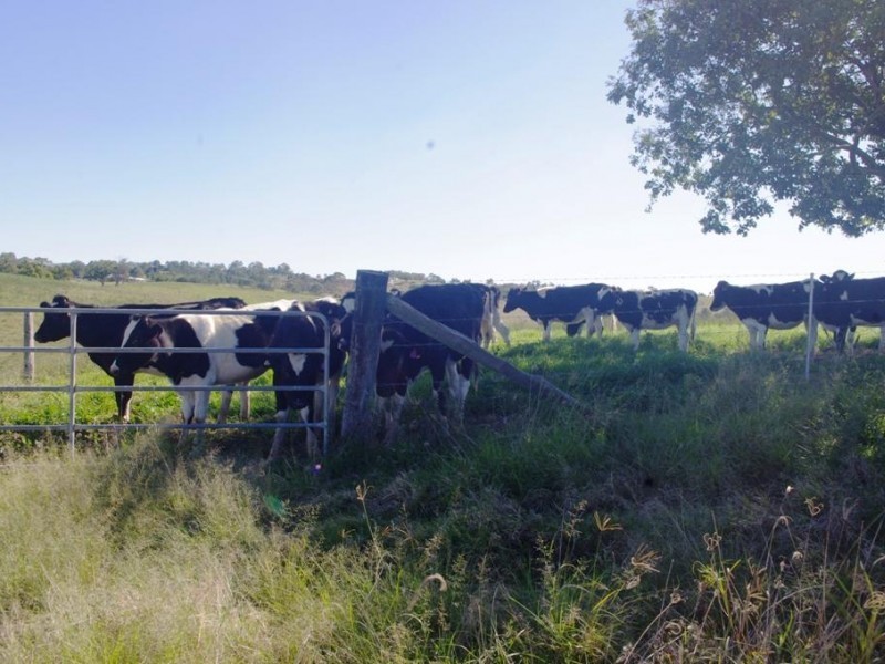 Lot 120 Lagoon Pocket Road, Lagoon Pocket QLD 4570