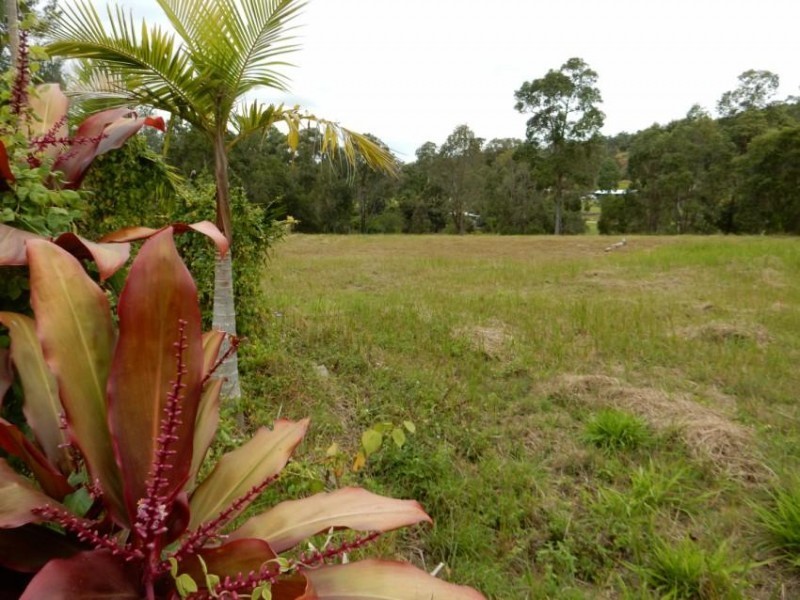 Lot 165 Astra Road, Glenwood QLD 4570