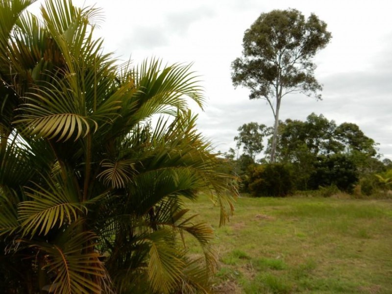Lot 165 Astra Road, Glenwood QLD 4570