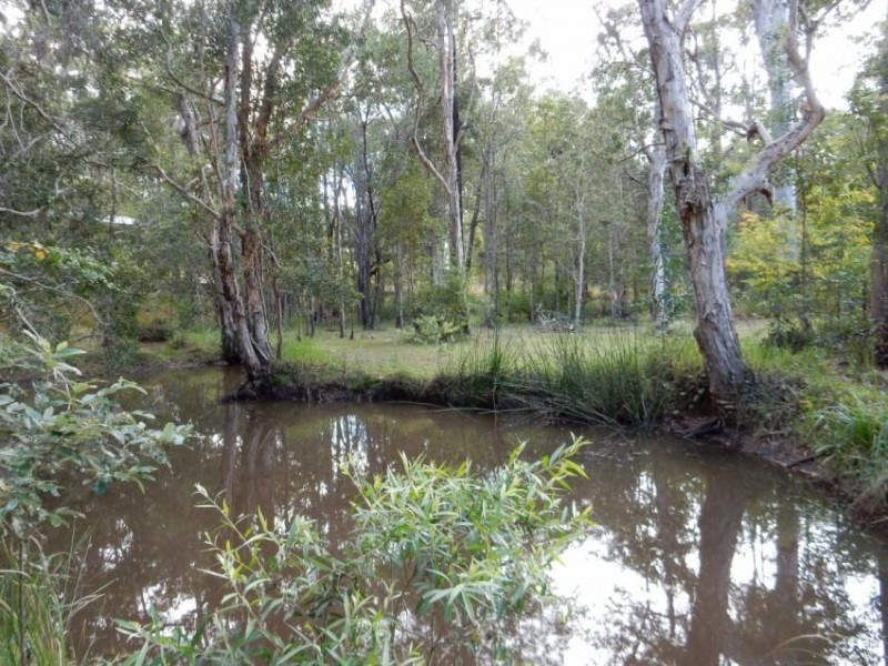 Lot 107 Trotter Road, Glenwood QLD 4570