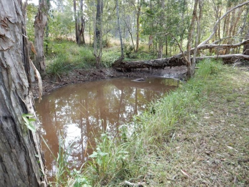 Lot 107 Trotter Road, Glenwood QLD 4570
