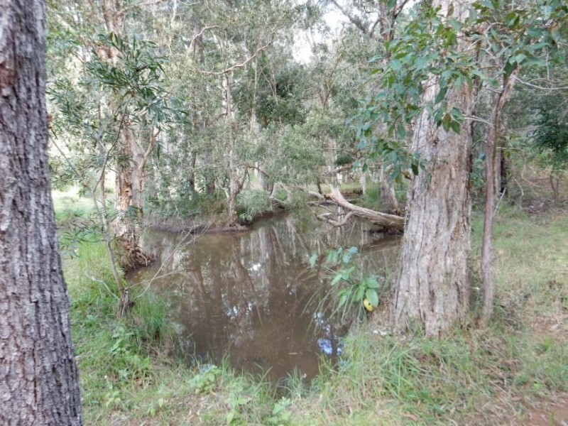 Lot 107 Trotter Road, Glenwood QLD 4570