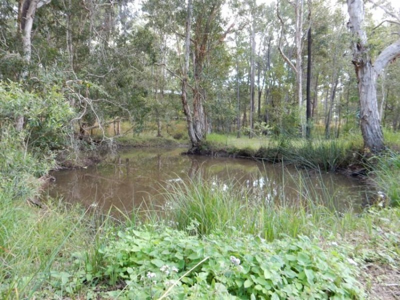 Lot 107 Trotter Road, Glenwood QLD 4570