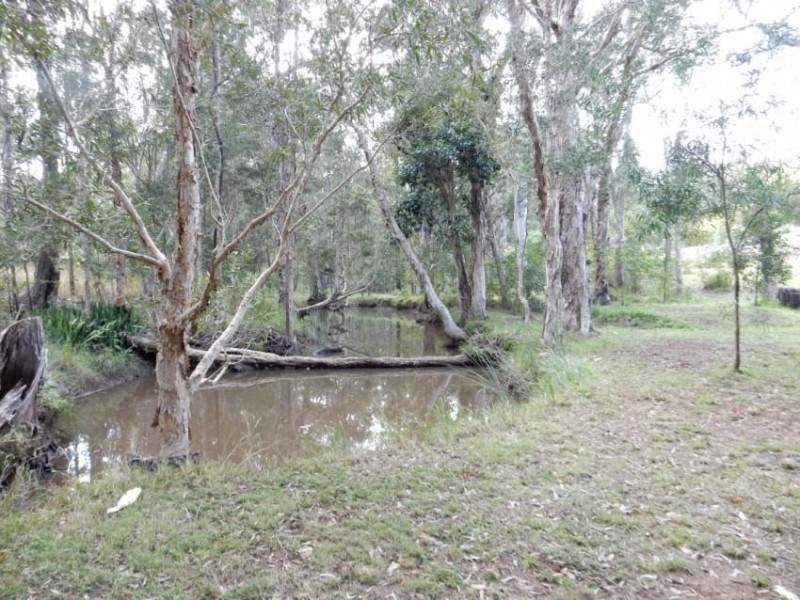 Lot 107 Trotter Road, Glenwood QLD 4570