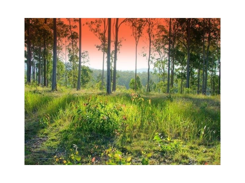 Lot 479 Arborten Road, Glenwood QLD 4570