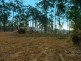 Lot 479 Arborten Road, Glenwood QLD 4570
