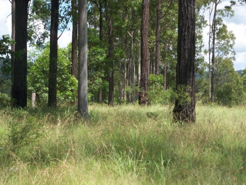 Lot 479 Arborten Road, Glenwood QLD 4570