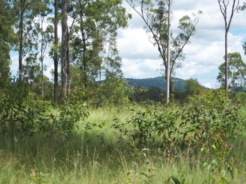 Lot 479 Arborten Road, Glenwood QLD 4570
