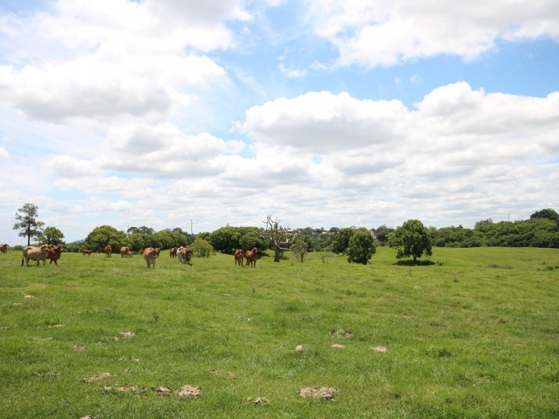 41 to 99 Mary Valley Road, Southside QLD 4570