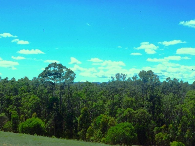 Lot 22 Forest Ridge Drive, Tamaree QLD 4570