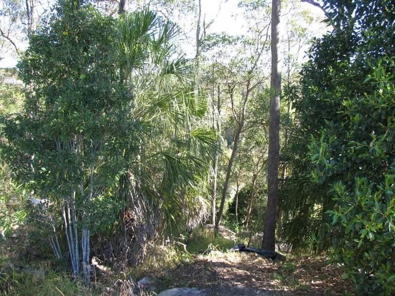 455 Jimbour Road, The Palms QLD 4570