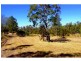 62 Pine Ridge Rd, Glenwood QLD 4570