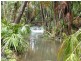 87 Jimbour Road, The Palms QLD 4570