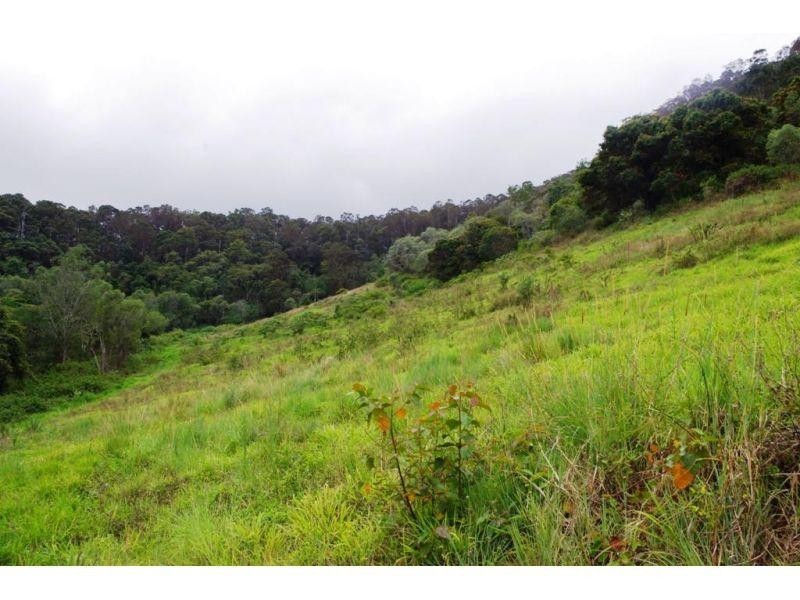 Wilsons Pocket QLD 4570