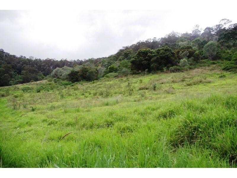 Wilsons Pocket QLD 4570