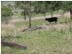Mayne Street, Goomeri QLD 4601