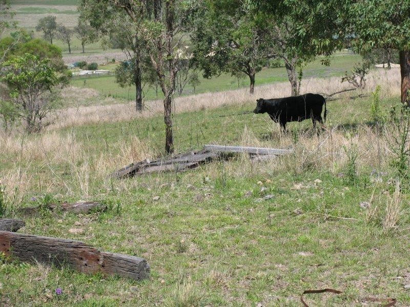 Mayne Street, Goomeri QLD 4601