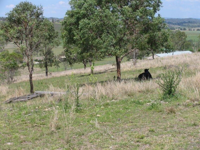 Mayne Street, Goomeri QLD 4601