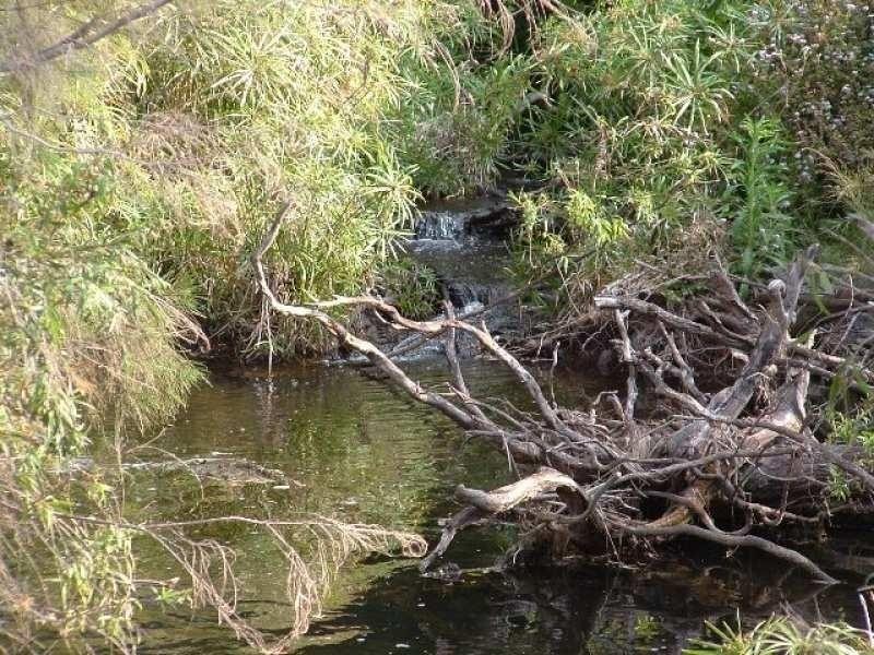 1631 Old Greendale Road, Glastonbury QLD 4570