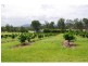 Lot 11,330 Anderleigh Road, Gunalda QLD 4570