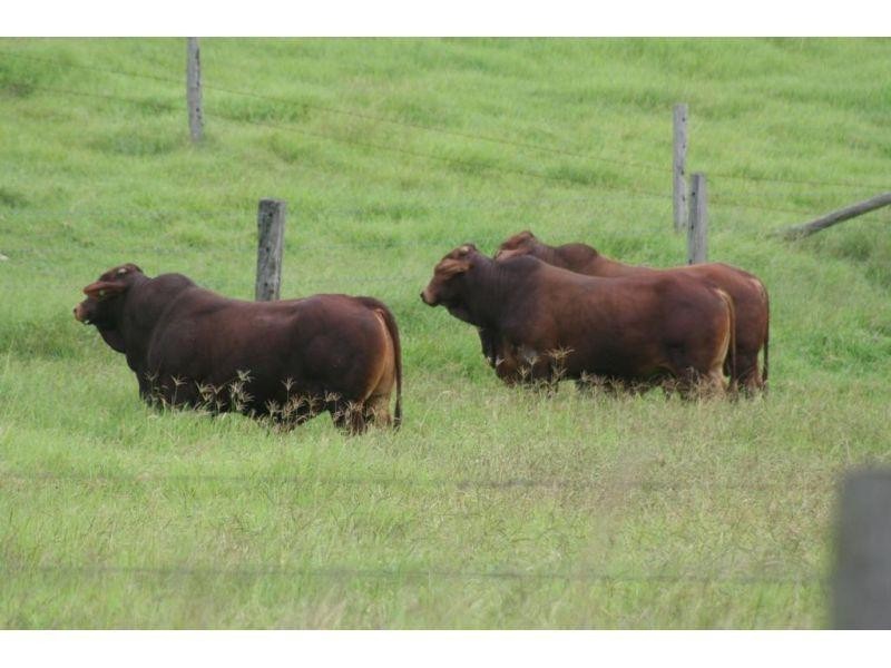 Glastonbury QLD 4570