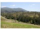 Aherns Road, Conondale QLD 4552