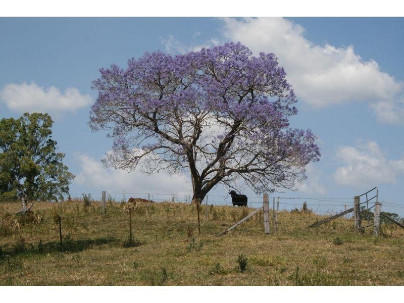 Aherns Road, Conondale QLD 4552