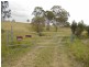 119 Webb Road, Black Snake QLD 4600