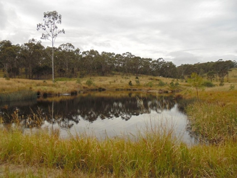 119 Webb Road, Black Snake QLD 4600