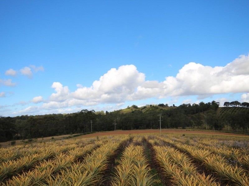 Crn Meddleton Road & Mary Valley Road, Amamoor QLD 4570