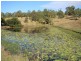 895 McIntosh Creek Road, Long Flat QLD 4570