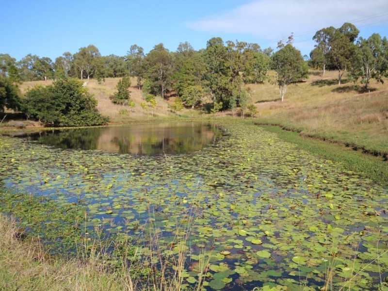 895 McIntosh Creek Road, Long Flat QLD 4570