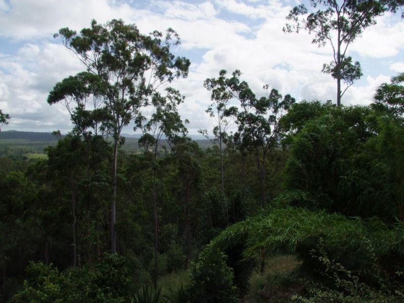 237 Dan Meurant Drive, Curra QLD 4570