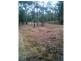 237 Dan Meurant Drive, Curra QLD 4570