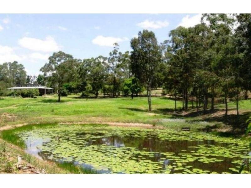 113 Green Trees Road, Pie Creek QLD 4570