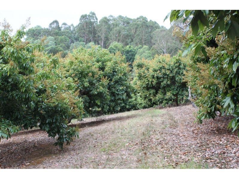 21 Yellow Gully Rd, Wolvi QLD 4570