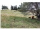 825 McIntosh Creek Rd, Mcintosh Creek QLD 4570