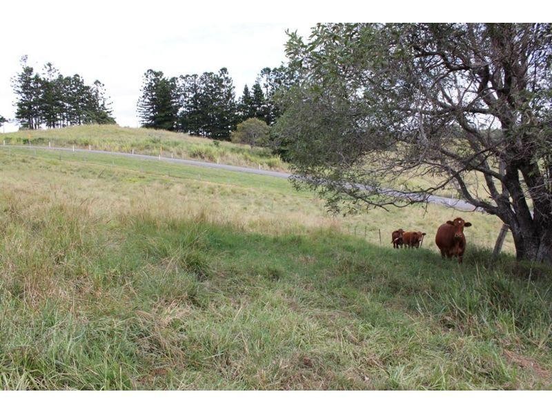 825 McIntosh Creek Rd, Mcintosh Creek QLD 4570
