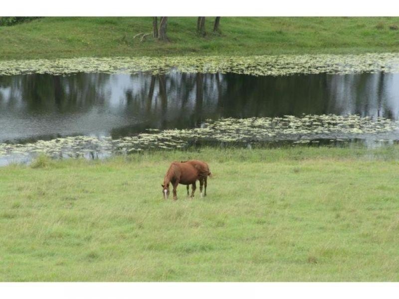 Glastonbury QLD 4570