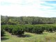 Lot 10,330 Anderleigh Road, Gunalda QLD 4570