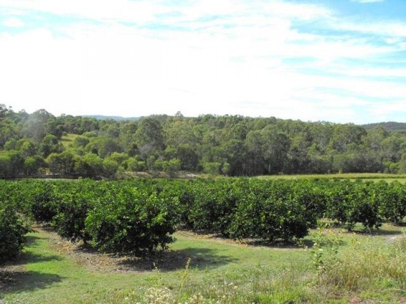 Lot 10,330 Anderleigh Road, Gunalda QLD 4570