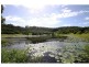 Canina QLD 4570