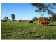 Lower Wonga QLD 4570