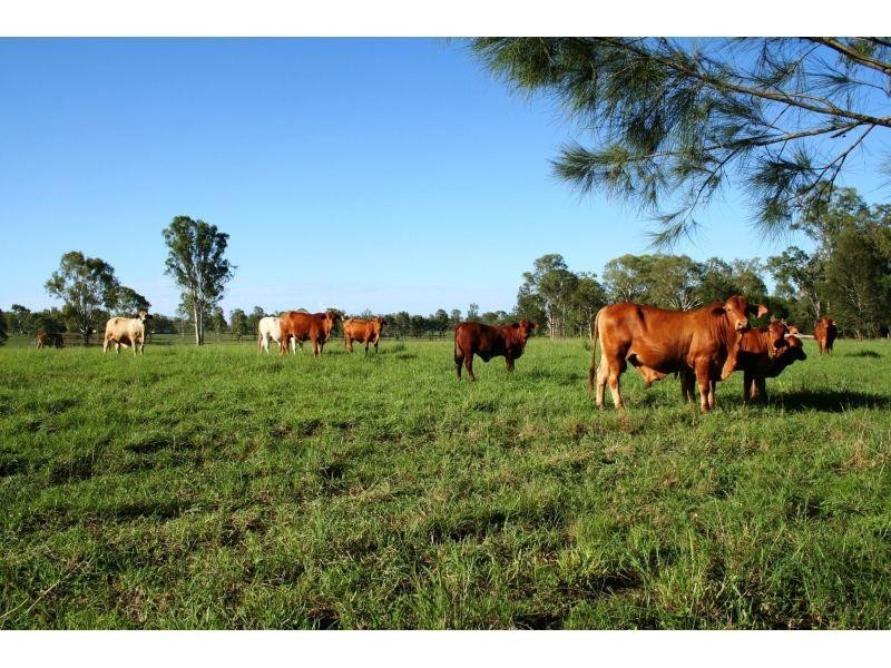 Lower Wonga QLD 4570